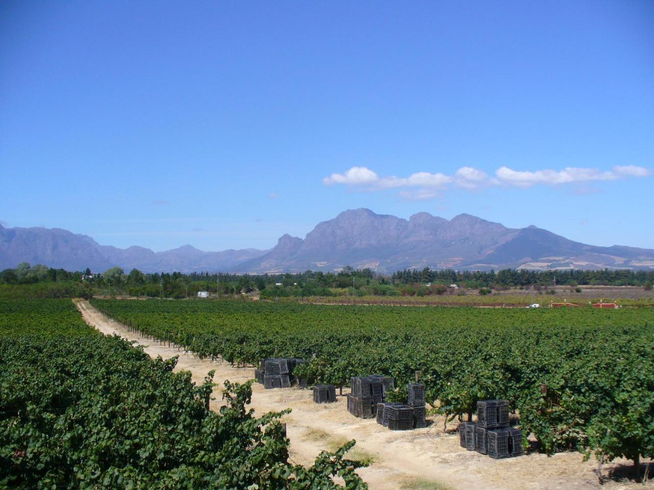 Hartebeeskraal Selfcatering Cottage Paarl Exterior foto